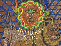 Image for Heirloom Seeds