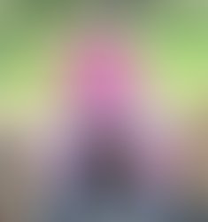 8e9d19bddf8a5537f70178ab0757a1d6831fd648