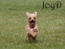 JoyD