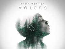Andy Morton