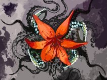 Octopus Lilium