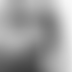 1447955150 artist 3444490 1447955088