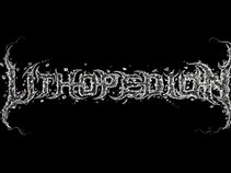 LITHOPEDION