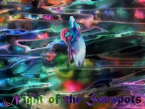 Night Of The Sunspots