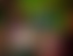 1309376513 kmk press photo 01 sm