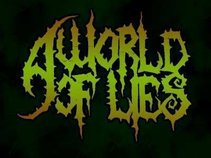 A World of Lies