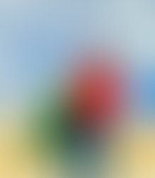 D0c2ef79 4822 47ab 86ef 6513857a309b