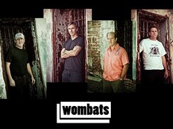 Image for The Wombats