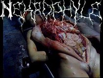 NEKROPHYLE