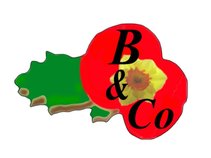 Belinda & Co