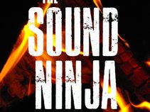 The Sound Ninja