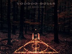Image for Voodoo Dolls