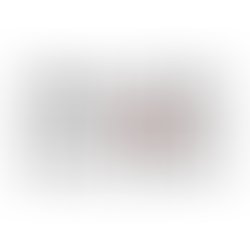 Btf merchandise logo