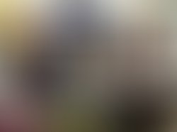 Marcellas the singer