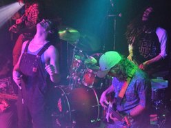Image for Diggin Dirt