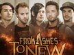 From Ashes to New