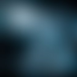 1373578508 hk9a8783