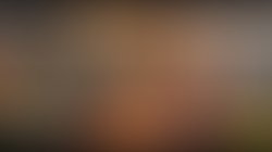 1456525304 brown mr dj