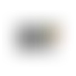 Img 3941