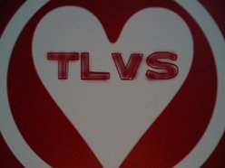 Image for the late virginia summers