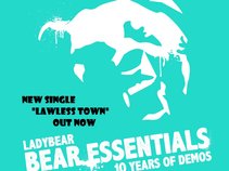 Ladybear