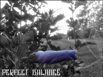 Perfect Balance