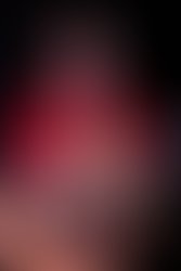 1388735789 ellen bukstel press9