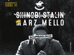 Image for Shinobi Stalin