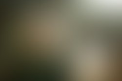 1361616938 aspeace1 credit ginabinkley