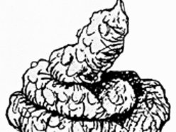 Image for ANAL PUDDING