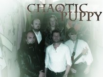 CHAOTIC PUPPY