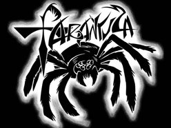 Image for Sister Mary Tarantula