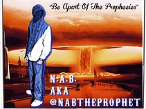 N.A.B.