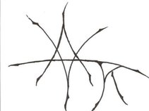 Avatar Among Us