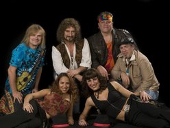 Image for Magic Bus