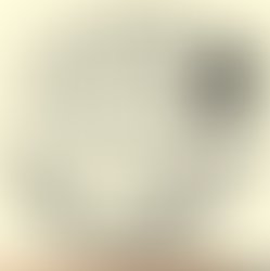 Hs 1900 2