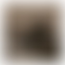 1377966457 front cover