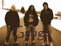 Gauge