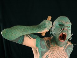 Image for Lizard Skynard