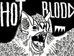 Hot Blood