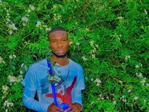 Ace $wank