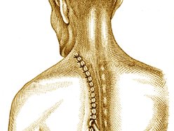 Image for French Doctors