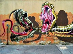 Snakebite