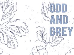 Image for Odd & Grey