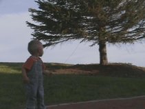 SKY ROOTS