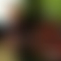 1399161460 chadshot01 bass 1600x1600