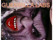 Guerrilla Labs