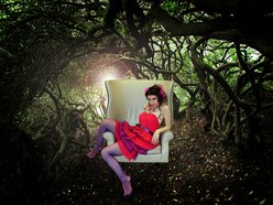 Image for Kimberly Korn