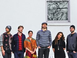 Image for Elephant Revival