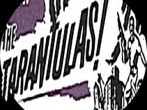 Tarantulas ®